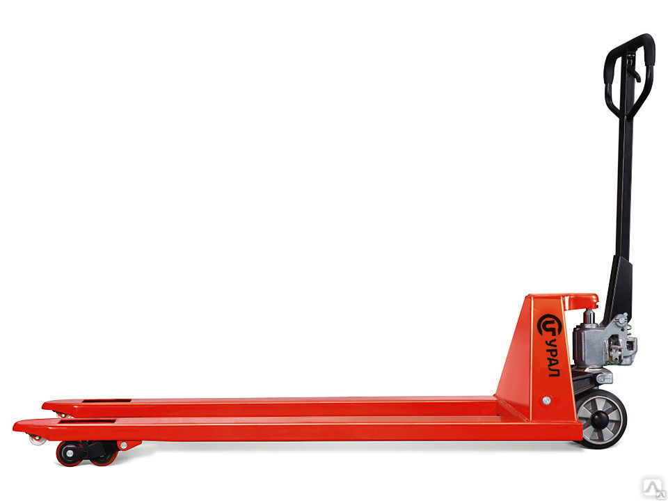 Что Такое Рохля Фото – Telegraph