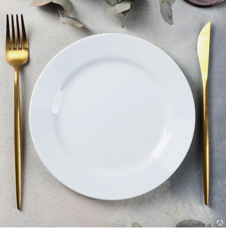 мелкая столовая тарелка. эксперимент с монеткой и водой. в мелкую тарелку положили. в мелкую тарелку положили. назначение мелкой столовой тарелки.