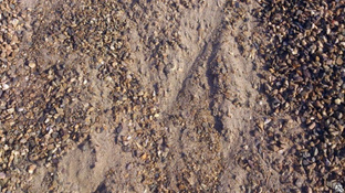 Щебеночно-песчаная смесь 