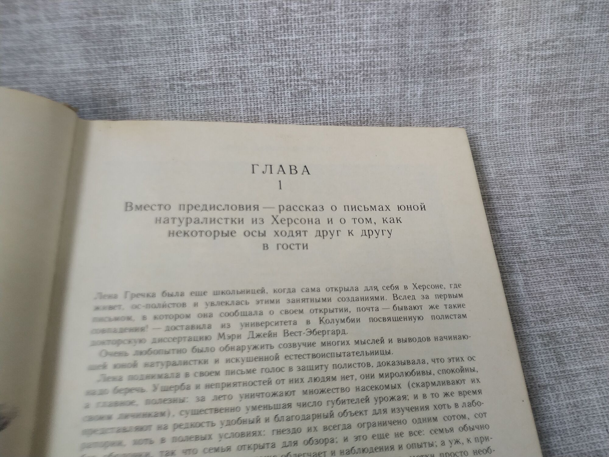 Книга. Четырехкрылые корсары. СССР., цена в Челябинске от компании  Инструмент СССР.